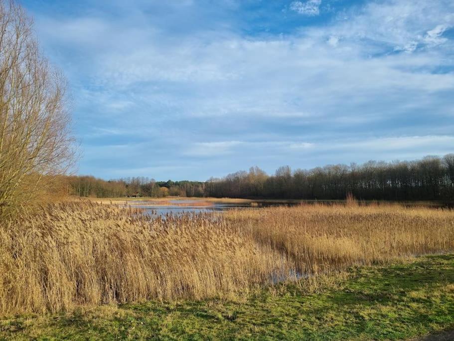 Luxe-Avontuur In Een Romantische Cabin In Het Bos Stekene 외부 사진